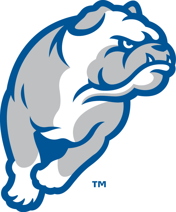 Drake Bulldogs 2015-Pres Alternate Logo v4 iron on transfers for T-shirts